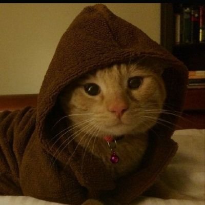 XxosaxX's profile picture. 18🇵🇱 @bednarfnbr @oskarovskyy1 @mateusz71608499 @emilloCTX