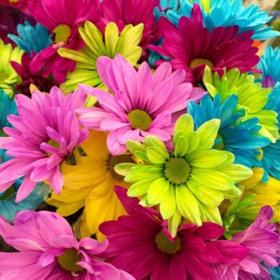 Geraldi19887160's profile picture. If you can be anything, BE KIND. It really is that simple. ❤️