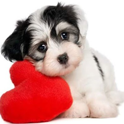 Val4329's profile picture. 