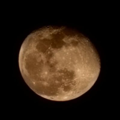 KSerrano89's profile picture. 𝚅𝚞𝚎𝚕𝚊 𝚊𝚕𝚝𝚘