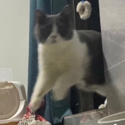 FreeFree777777's profile picture. 