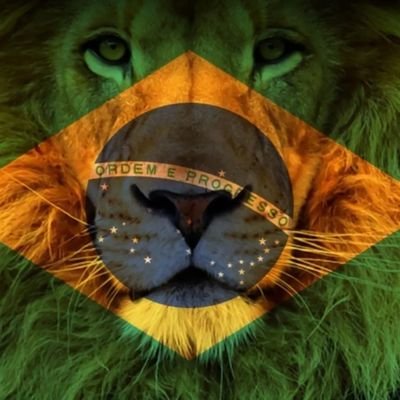 Patriota🇧🇷🇧🇷 Deus é meu escudo!! Família é a minha base.