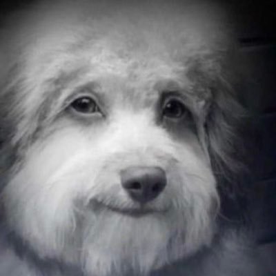 flaccoman's profile picture. Biased for the seahawks