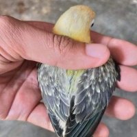 sammy stanley (@frekl772) Twitter profile photo