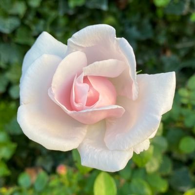 GaneshVenkate15's profile picture. Music Sports Business & CEOs