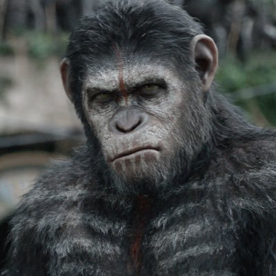 Ape1776 Profile Picture