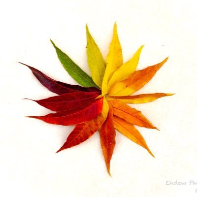 Eric Endowさんのプロフィール画像