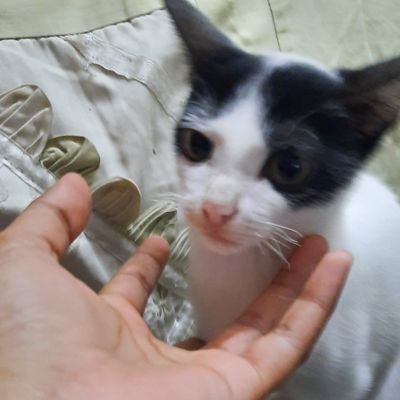 rain4mylove's profile picture. Aquarius/21