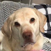 Gus (@coltgus24) 's Twitter Profile Photo