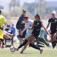 Amanda Pankiewicz (@amandapank) 's Twitter Profile