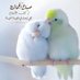 حاتم العماني (@dvc0dpmxejmqsxq) Twitter profile photo حاتم العماني (@dvc0dpmxejmqsxq) Twitter profile photo