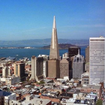 amckee23's profile picture. 