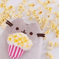 The Cultural Norm Eating Popcorn Miao 👑🍿 ©(@TheLittleMiao) 's Twitter Profile Photo