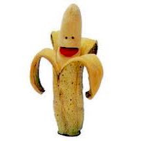 VeganMuppet's profile picture. Helping people understand narcissistic abuse/cult behavior. No flying 🙈🙉🙊 allowed. Do not support @PeTA! They murder cats & dogs. I’m here for the spice.🌶️