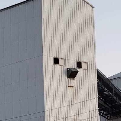 beinnowneo's profile picture. Being Human