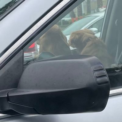 ow37011's profile picture. 