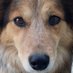 tf144 (@tf1441) Twitter profile photo tf144 (@tf1441) Twitter profile photo