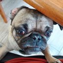 Bob Conrad - @BobConr71111149 - Twitter