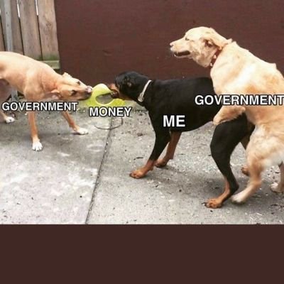 shareadventure1's profile picture. I was once mocked by Scott Adams.
I'm no one to follow.
I identify as black, lesbian woman that's Muslim with 1 leg & I'm trans. I win the oppression Olympics.