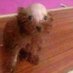 Abril :^ (@abril18864089) Twitter profile photo Abril :^ (@abril18864089) Twitter profile photo