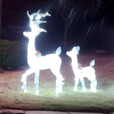 ultravioliiii's profile picture. a kindred soul 🍱 biomed engineer learning ml 🤖🦾