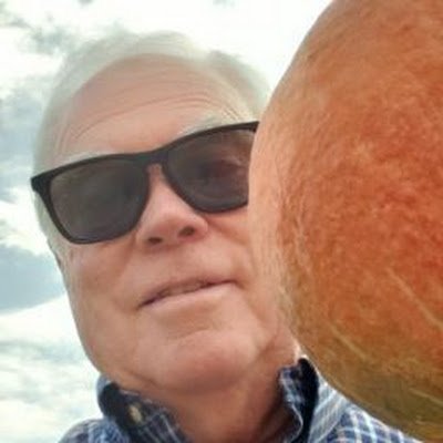 BoLit97460911's profile picture. 