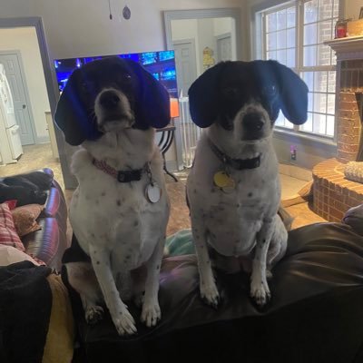 kirk_cagle's profile picture. Rescue dogs, Competition Bbq, and Kingdom work. Happily married. Random women showing cleavage will be blocked. No DM’s