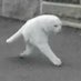 Amazing_naonao (@amazing_naonao) Twitter profile photo Amazing_naonao (@amazing_naonao) Twitter profile photo
