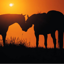 Taylor Dewey - @TaylorDewey13 - Twitter