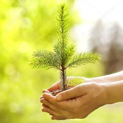 Korkaklıkta Ar ve Zillet, İlerlemekte Şeref ve İzzet Vardır