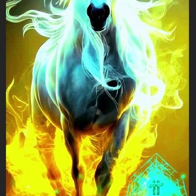 Lannguyen003377's profile picture. 