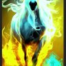 Lannguyen003377's profile picture. 