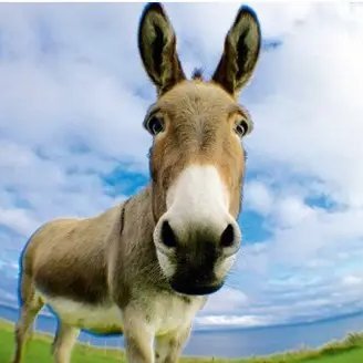 chuanzhang6688's profile picture. 快乐天地