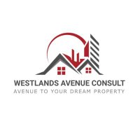 Westlands Avenue Consult(@westlands_consu) 's Twitter Profile Photo