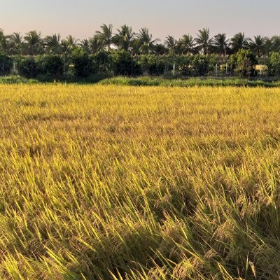 trancabinhduong's profile picture. “🦾” X2E54JLD ⛺ #camper4life CEO of Henlo