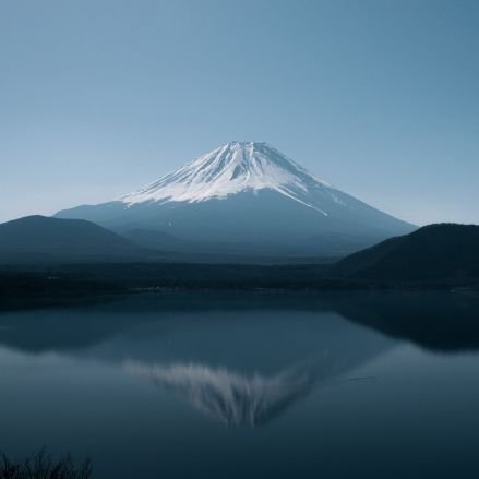 GgS4DSG1qi3DHp5's profile picture. 