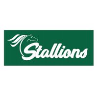 Stallions Rugby Club(@RugbyStallions1) 's Twitter Profile Photo