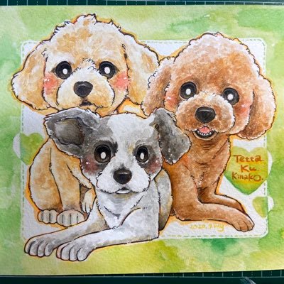 mi__kaさんのプロフィール画像