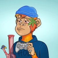 Crypto0x ❤️ Memecoin (@crypto0x22) 's Twitter Profile