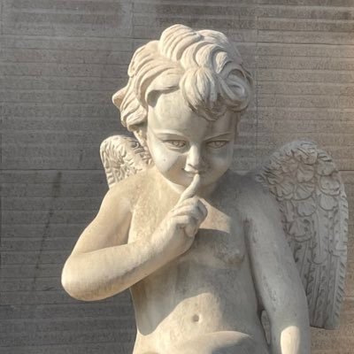 FENGHUO_1's profile picture. 非黑即白的傻暖和没脑子的就不要来了，我素质低脾气怕，欢迎不同立场和角度的理性讨论