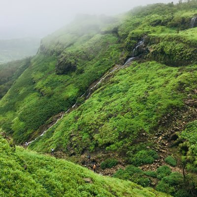 shikkati's profile picture. personal bio ————————— imagine this line,,,