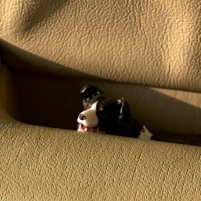 talktomenico's profile picture. 