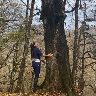 مدیرعامل انجمن ققنوس (جمعیت حمایت از بیماران سوخته) مشاور مدیریت در حوزه فروش و بازاریابی ، عاشق کتاب و شعر ، عاشق طبیعت بکر ،