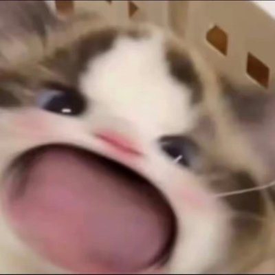 JackC71454275's profile picture. 