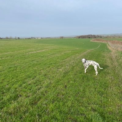 joe_1198's profile picture. 