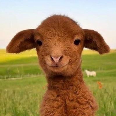 silviabausW's profile picture. 