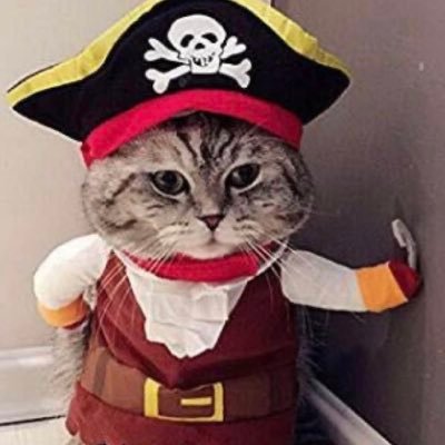 trumpmustgo333's profile picture. Retired journalist