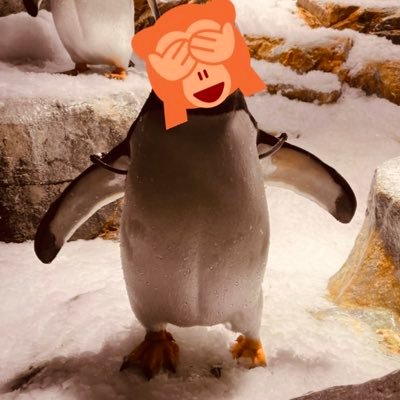 b-penpenさんのプロフィール画像