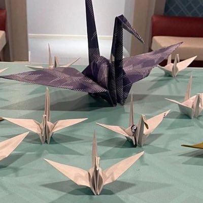 yngshxn6's profile picture. 