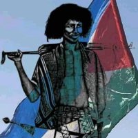 Afar Watch (@afarwatch) 's Twitter Profile